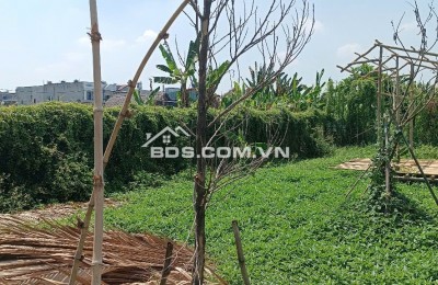 Đất ô tô thông, gần trường Tiểu Học Bình Mỹ, 10x12m, 520tr